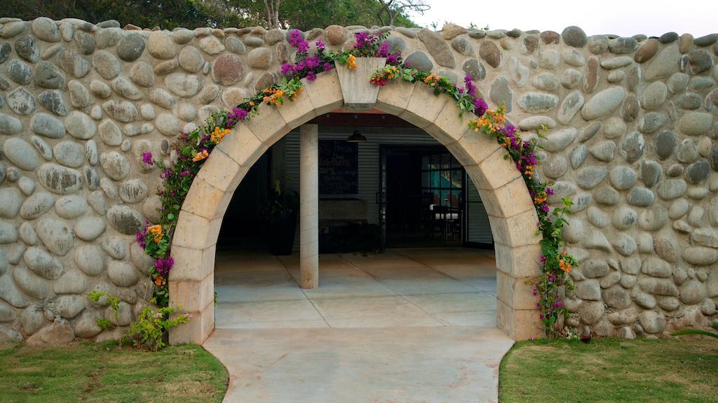 Pagua Bay House - Oceanfront Cabana'S Marigot Zewnętrze zdjęcie