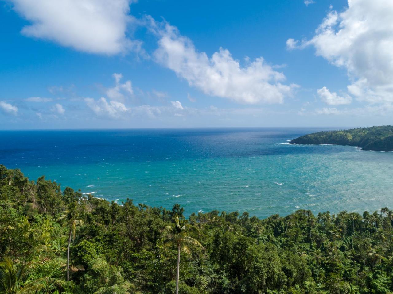 Pagua Bay House - Oceanfront Cabana'S Marigot Zewnętrze zdjęcie