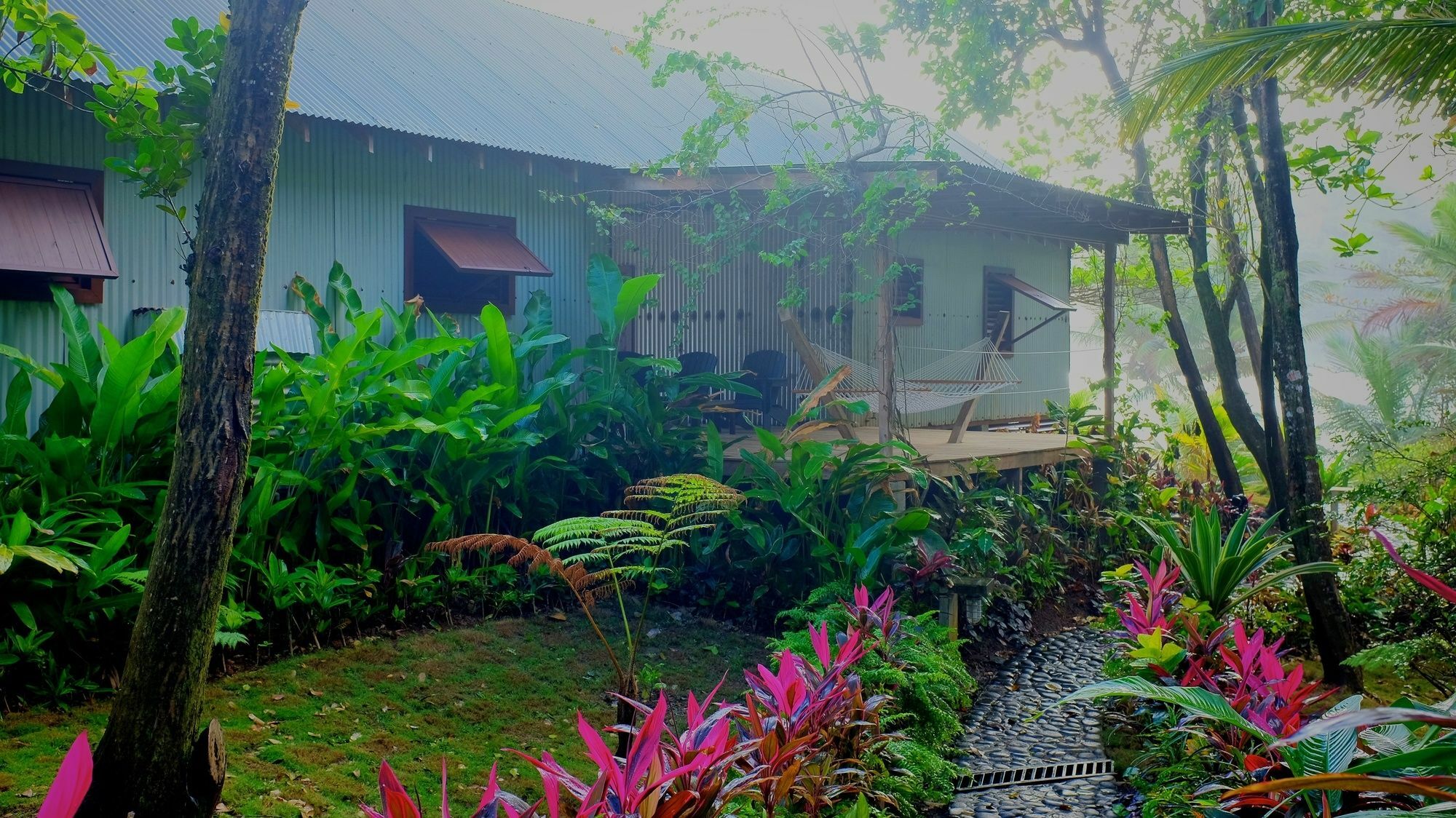 Pagua Bay House - Oceanfront Cabana'S Marigot Zewnętrze zdjęcie